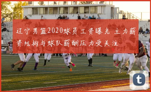 辽宁男篮2020球员工资曝光 主力薪资结构与球队薪酬压力受关注