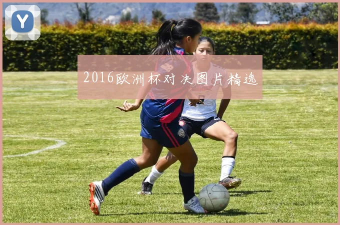 2016欧洲杯对决图片精选