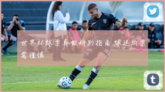 世界杯球票真假辨别指南 球迷购票需谨慎