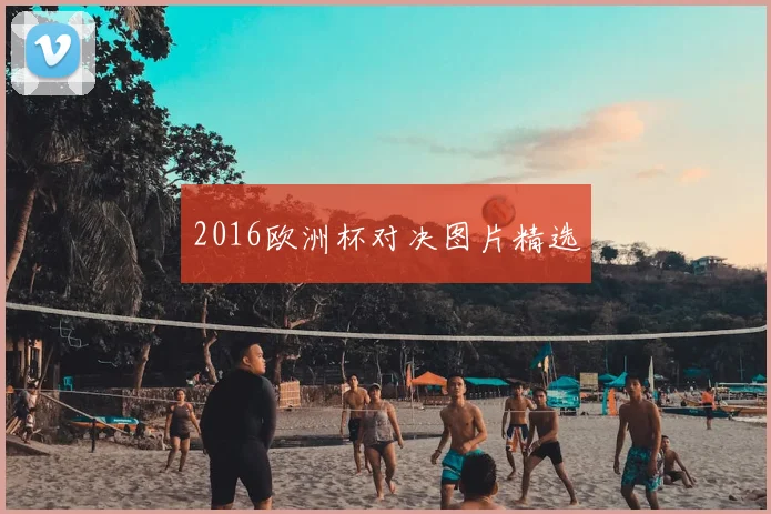 2016欧洲杯对决图片精选