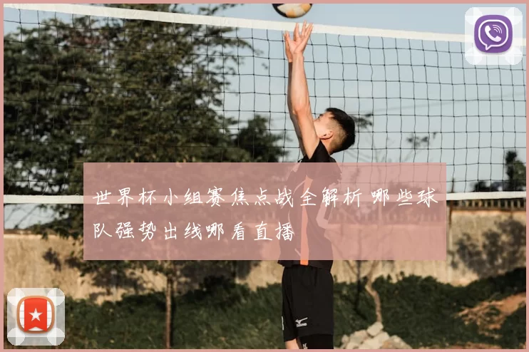 世界杯小组赛焦点战全解析 哪些球队强势出线哪看直播