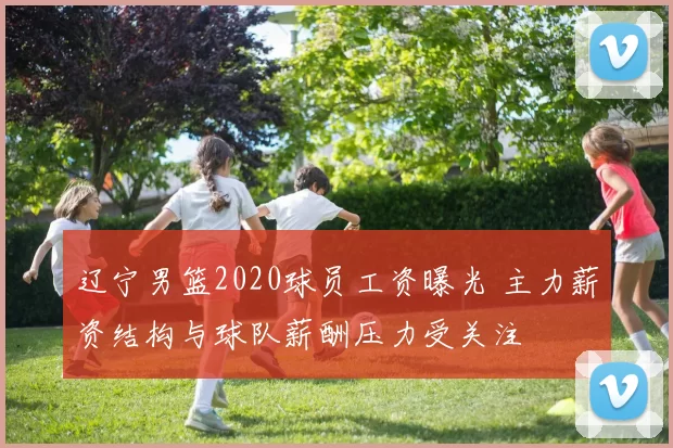 辽宁男篮2020球员工资曝光 主力薪资结构与球队薪酬压力受关注